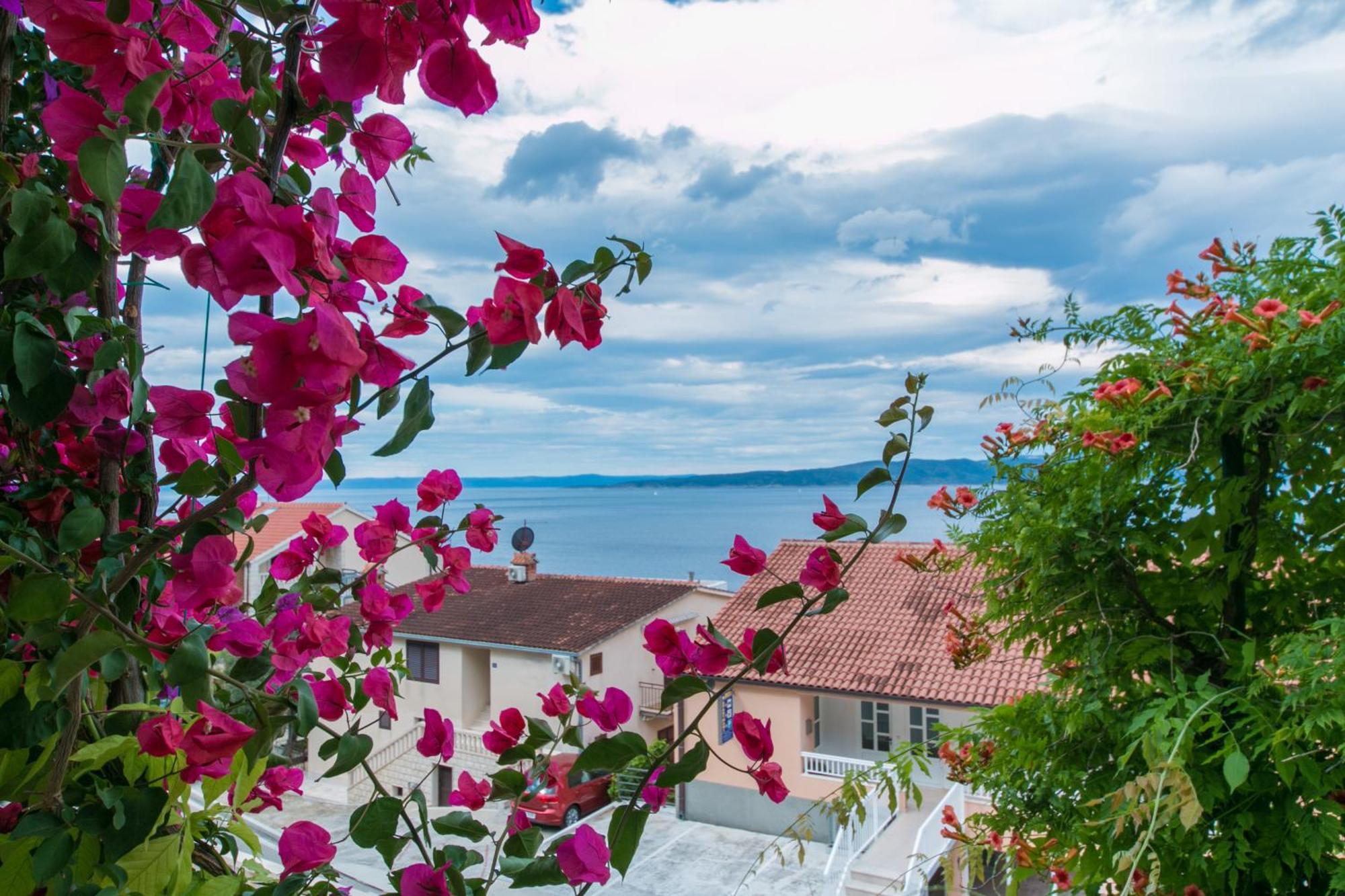 Apartments And Rooms By The Sea Brela, Makarska - 2752 المظهر الخارجي الصورة